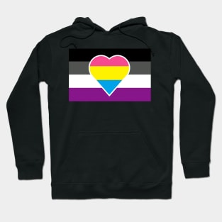 Panromantic Asexual Flag Hoodie